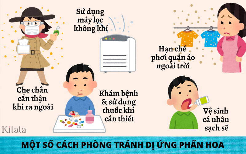 tại sao dị ứng phấn hoa ở nhật bản tại sao dị ứng phấn hoa ở nhật bản